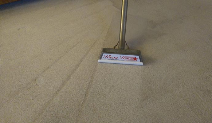 Truck-Mounted Carpet Cleaning System in Albuquerque, NM