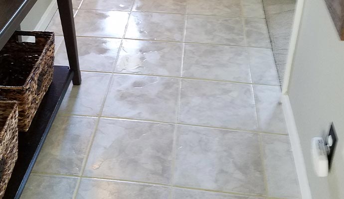 Professional tile and grout cleaning service